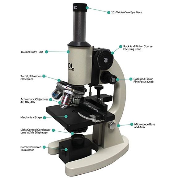 600x Microscope